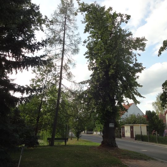Naturdenkmal Linde Dorfzentrum am Teich; Flur 1, Flurstück 25 in Zagelsdorf