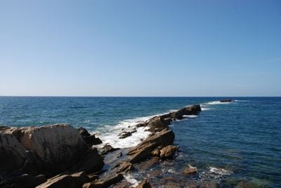 The view 2
