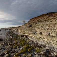 Osmussaar Cliff
