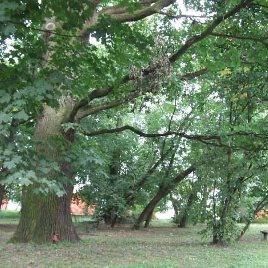 Manor garden in Miętne