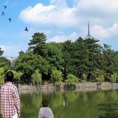 Sarusawa Pond