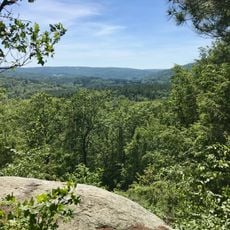 Nepaug State Forest