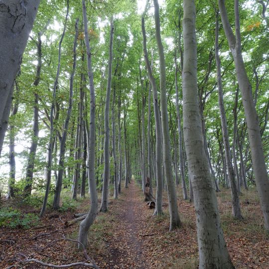 Nordufer Wittow mit Hohen Dielen