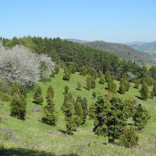 Kalkmagerrasen bei Roßbach