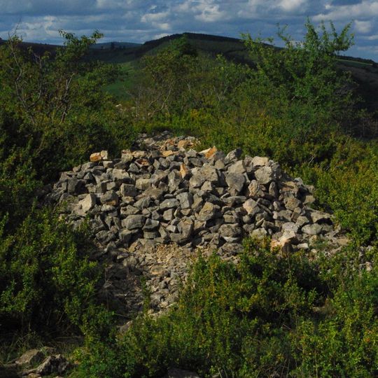 Camp retranché à éperon barré de Bussières