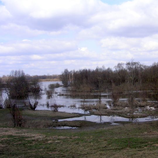 Nature reserve Wikliny Wiślane