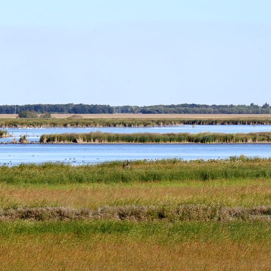 Zone de gestion de la faune du marais d'Oak Hammock