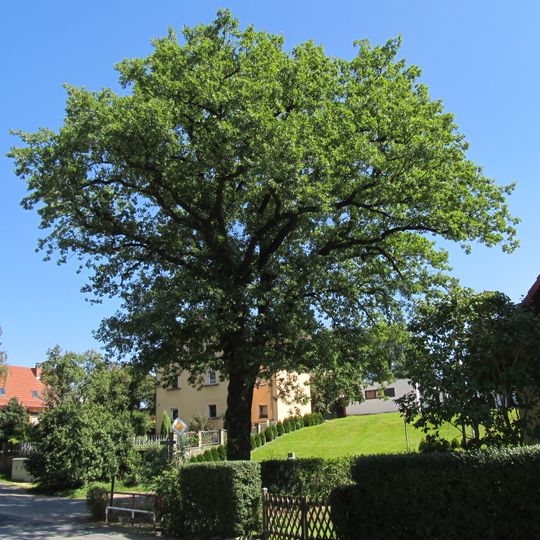 Luthereiche Schullwitz