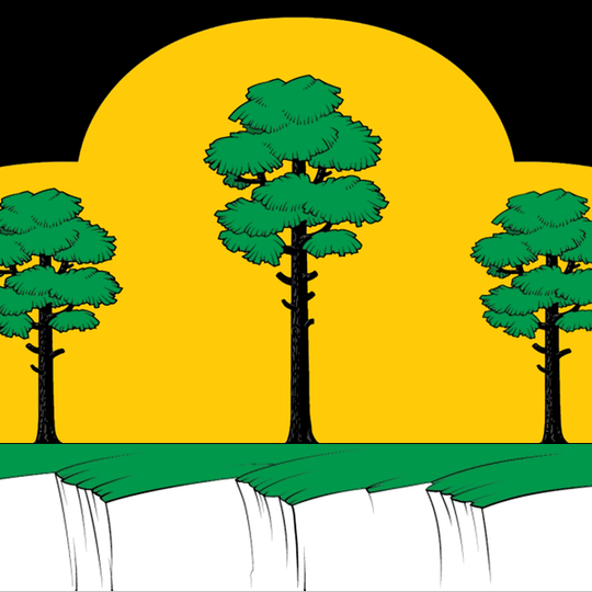 Чернянське міське поселення