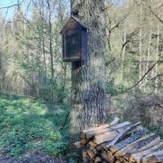 Bildbaum Tobelbachgraben