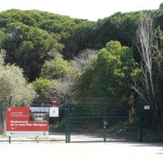 Pineda de Cal Francès