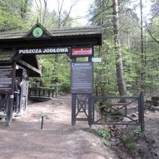 Puszcza Jodłowa