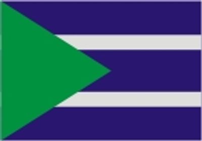 Flag 1