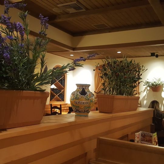 Olive Garden Italian Restaurant