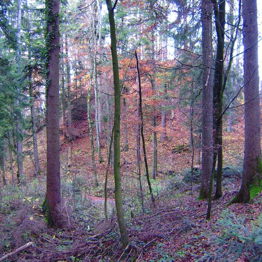 Burgruine Alt-Schönstein