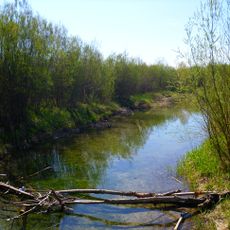 Isarauen zwischen Schäftlarn und Bad Tölz (ex-"Pupplinger und Ascholdinger Au")