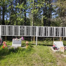 Братская могила советских воинов, погибших в боях с фашистскими захватчиками (Ледмозерское с. п.)