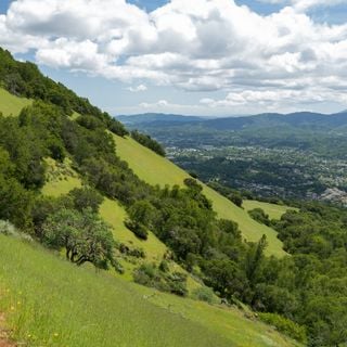 Mount Burdell Open Space Preserve