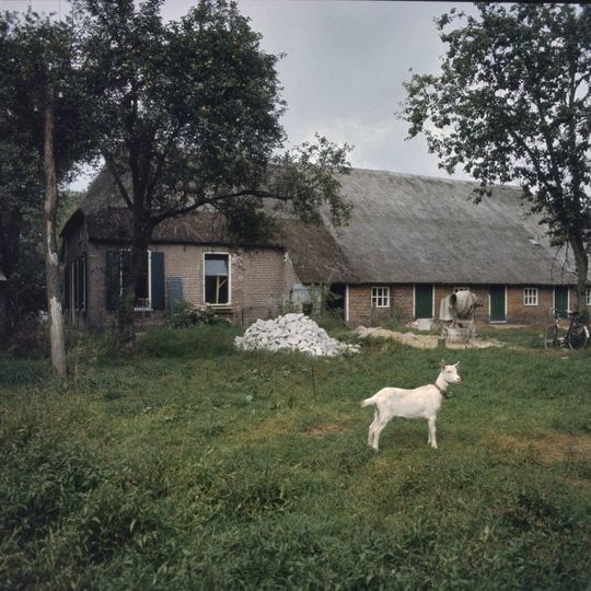 Zegeringen 1, Echten