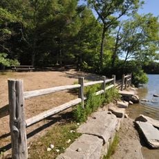 Nehantic State Forest