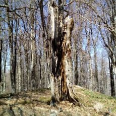 Кара Тепе (Плачковица)