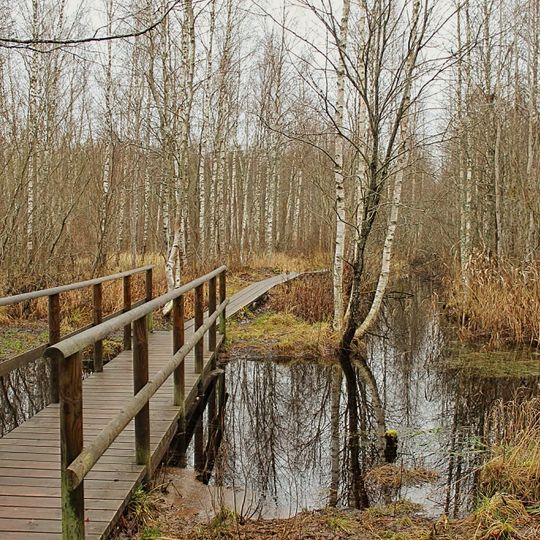 Pääsküla Bog