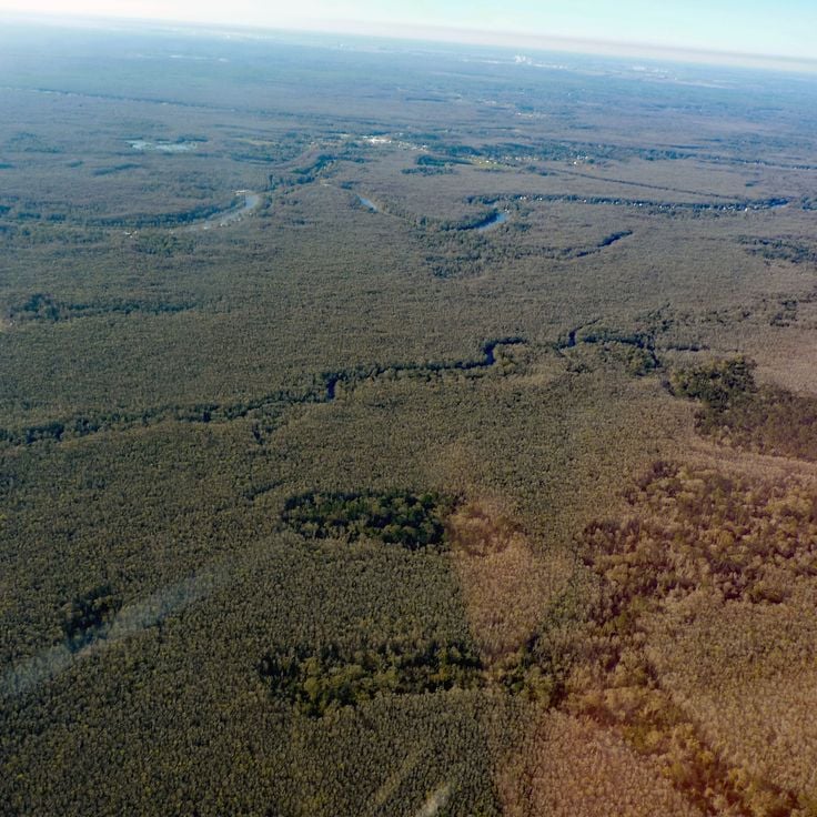 Area di gestione della fauna selvatica della palude di Maurepas