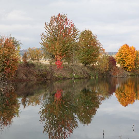 Ehemalige Ziegeleigrube bei Dörfles-Esbach