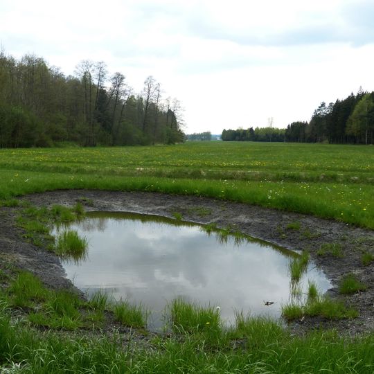 Dinkelscherbener Moor