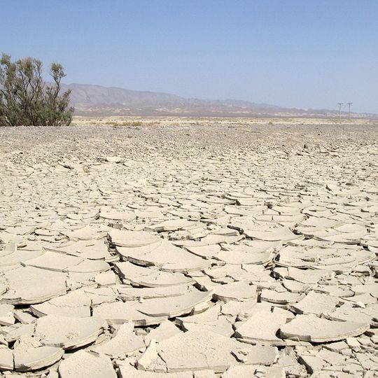 Repetek Biosphere State Reserve