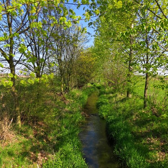 Piletický a Librantický potok