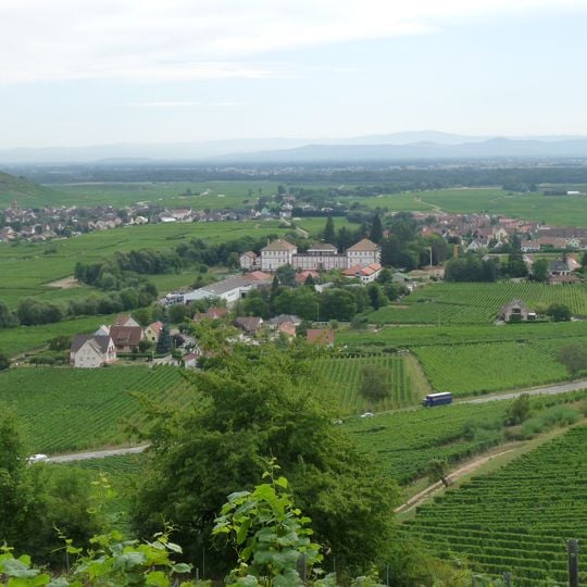 Kaysersberg Vignoble