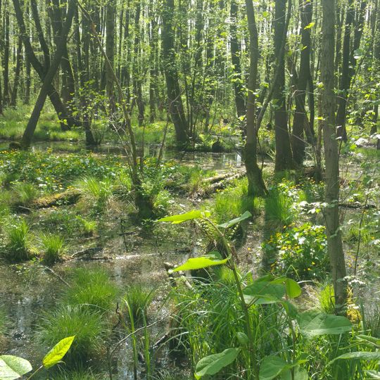 Stellmoor-Ahrensburger Tunneltal