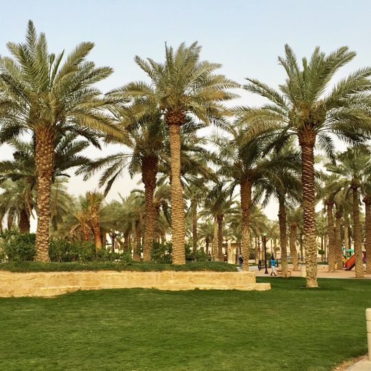 Suwaidi Park