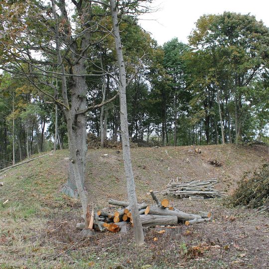 Plungės piliakalnis