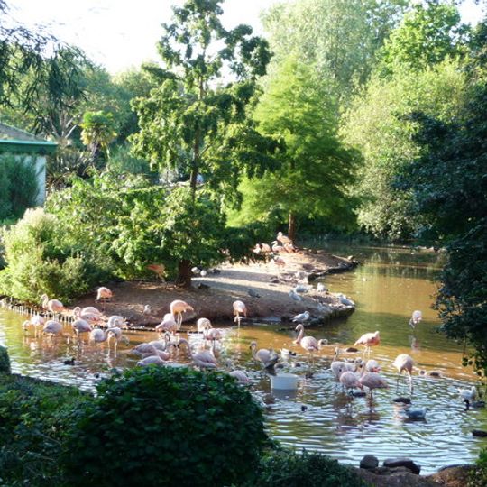 Zoo di Paignton