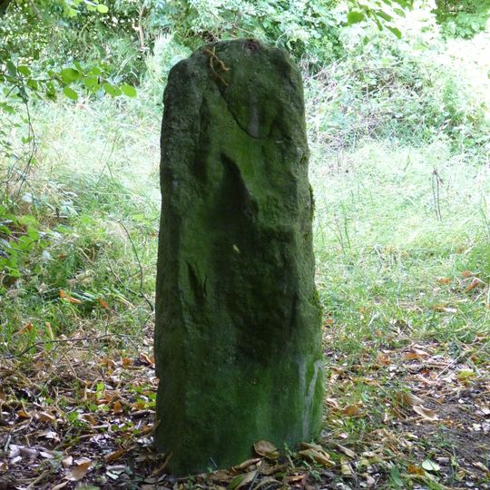 Menhirs de Kergoff
