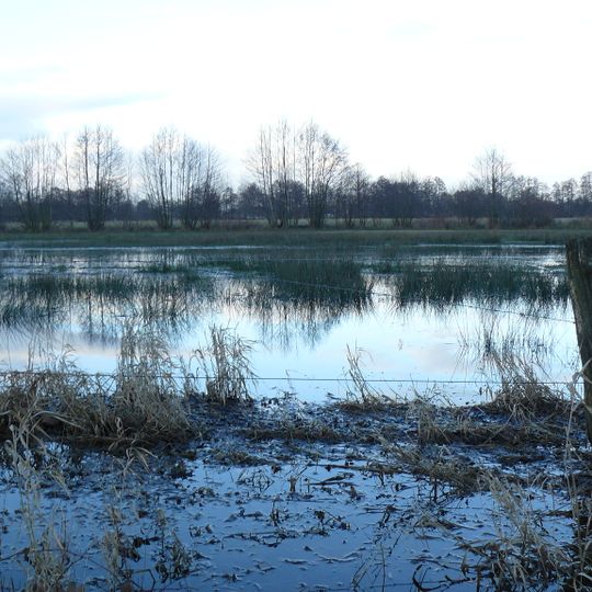 Erdgarten-Lauerwiesen