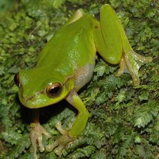 Conondale National Park
