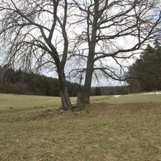 Kříž severozápadně od Dolní Vísky