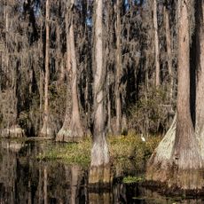 Stephen C. Foster State Park