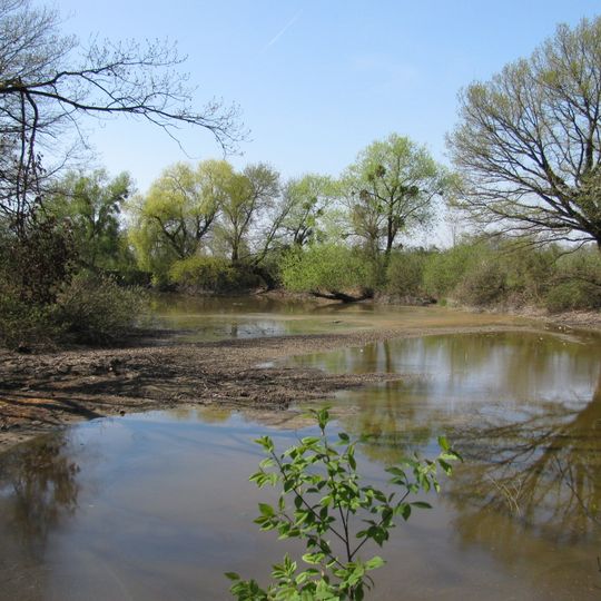 Bodenseeuferlandschaft östlich Friedrichshafen