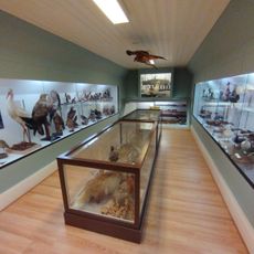 Falsterbo museum