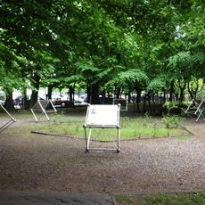 Park Instytutu Radowego