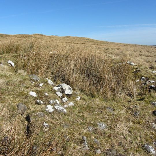 Round cairn, 120m ENE of Kingscrag Gate