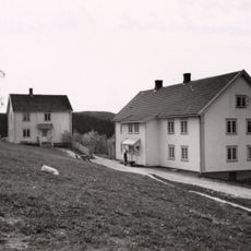 Roverud, rauverud
