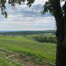 Aussichtspunkt Hühnerwald