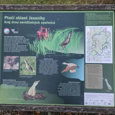 Ptačí oblast Jeseníky