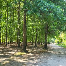 Bosque de Burdeos