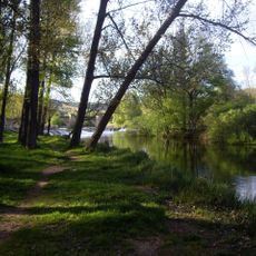 Márgenes del Duero (Soria)